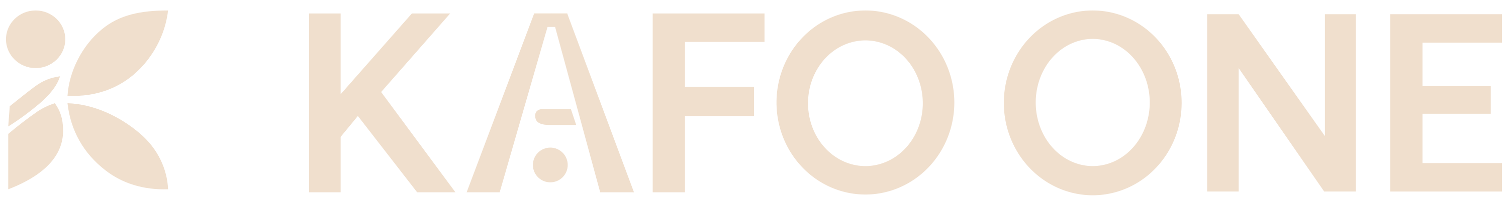 KAFO ONE