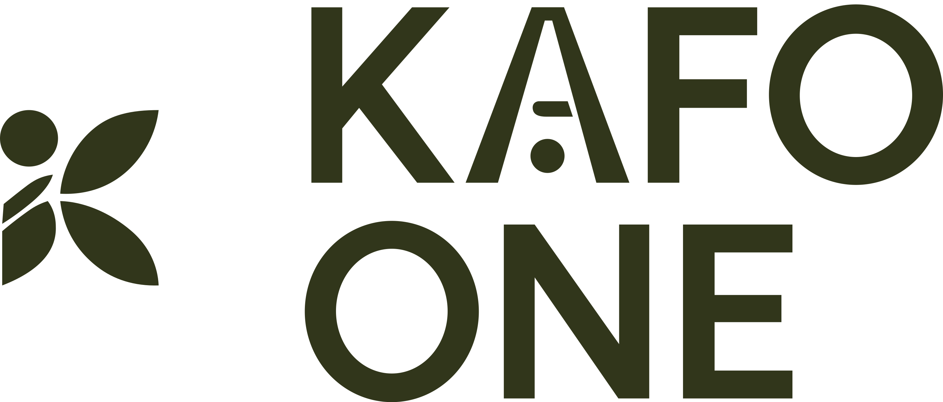 KAFO ONE